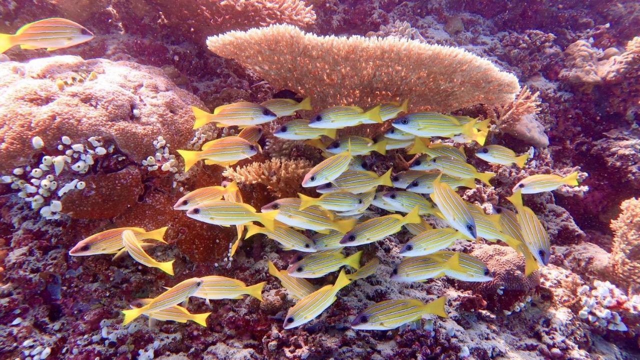 Wow Inn Keyodhoo Keyodhoo  Bagian luar foto